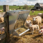Forrajera Corderos, Cerdo, Ovejas de Chapa Galvanizada 42x28x50 cm | Comedero Ovino Exterior Ganaderia con Ganchos