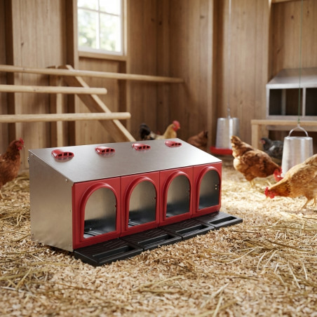 Indoor Nest for Chickens 4 departments 104x47x48 cm | Poultry Nest for Chickens