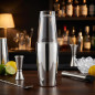 Cocktail Shaker Professionale in Acciaio Inox con 2 Bicchieri, Capacità 800ml + 500ml [Grigio]..