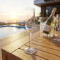 Calici da champagne in cristallo | Confezione da 6 | Design elegante e resistente | Ideali per feste ed eventi