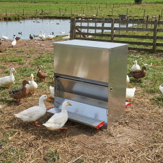 Mangiatoia a tramoggia SAFE-FEED per anatre, 40 kg, 67 L | Fino a 35 anatre | Sistema di alimentazione sicuro | Lamiera resisten