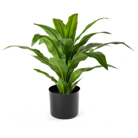 Künstliche Dracaena, 65 cm, mit Topf | Kunststoffpflanze für die Gartendekoration im Innen- und Außenbereich