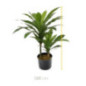 Artificial Dracaena Plant 100cm with Pot | Plastic Plants for Indoor and Outdoor Garden Decoration