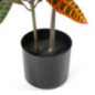 Planta Artificial Croton 77 cm con Macetero | Plantas de Plastico para Decoracion de Jardin Interior y Exterior