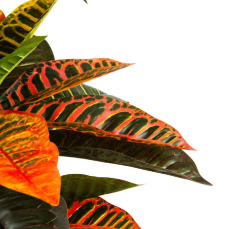 Croton artificiel de 140 cm avec pot | Plantes en plastique pour la décoration intérieure et extérieure