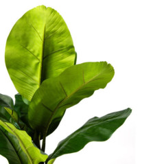 Künstliche Bananenpflanze 86 cm mit Topf | Kunststoffpflanze für die Gartendekoration im Innen- und Außenbereich