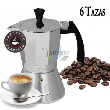 Cafeteira de indução com capacidade para 6 xícaras, compacta e compatível com todos os fogões