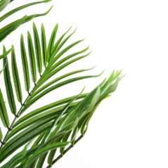 Künstliche Palme, 150 cm, mit Blumentopf | Kunststoffpflanze für die Gartendekoration im Innen- und Außenbereich