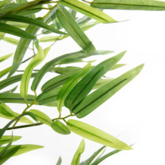 Planta Artificial Bambu 180 cm con Macetero | Plantas de Plastico para Decoracion de Jardin Interior y Exterior