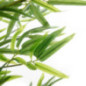 Plante de bambou artificielle de 180 cm avec pot de fleurs | Plantes en plastique pour la décoration intérieure et extérieure