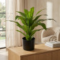 Dracaena artificiel de 65 cm avec pot | Plantes en plastique pour la décoration intérieure et extérieure