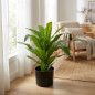 Planta Artificial Dracena 100 cm con Macetero | Plantas de Plastico para Decoracion de Jardin Interior y Exterior