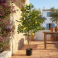 Citronnier artificiel de 150 cm avec pot | Plantes en plastique pour la décoration intérieure et extérieure