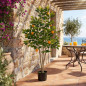 Planta Artificial Naranjo 120 cm con Macetero | Plantas de Plastico para Decoracion de Jardin Interior y Exterior