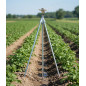 | Trípode acero riego 3/4" | Altura fija 70 cm | Soporte aspersores agrícolas | Rosca macho | Alta calidad resistente |