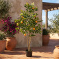 Oranger artificiel de 150 cm avec pot | Plantes en plastique pour la décoration intérieure et extérieure