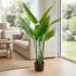 Artificial Bird of Paradise Plant 120 cm with Flowerpot | Plastic Plants for Indoor and Outdoor Garden Decoration