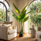 Artificial Bird of Paradise Plant 150 cm with Pot | Plastic Plants for Indoor and Outdoor Garden Decoration