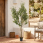 Ulivo artificiale da 180 cm con vaso | Piante in plastica per la decorazione di giardini interni ed esterni Ulivo artificiale da 180 cm con vaso | Piante in plastica per la decorazione di giardini interni ed esterni