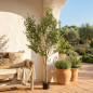Planta Artificial Olivo 180 cm con Macetero | Plantas de Plastico para Decoracion de Jardin Interior y Exterior