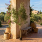Ulivo artificiale da 210 cm con vaso | Piante in plastica per la decorazione di giardini interni ed esterni Ulivo artificiale da 210 cm con vaso | Piante in plastica per la decorazione di giardini interni ed esterni
