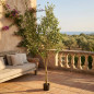 Planta Artificial Olivo 210 cm con Macetero | Plantas de Plastico para Decoracion de Jardin Interior y Exterior