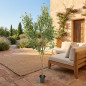 Planta Artificial Olivo 210 cm con Macetero | Plantas de Plastico para Decoracion de Jardin Interior y Exterior
