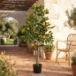Planta artificial de laranjeira de 150 cm com vaso | Plantas de plástico para decoração de jardins internos e externos