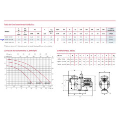 Bomba de Piscina ESPA Silen I 0,5 HP | Bomba Autoaspirante Filtración Piscinas Domésticas | Conexión 50 mm