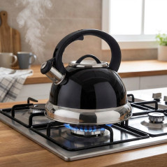 Whistling Kettle Lacor, Black - 2.5 Liters