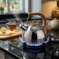 Lacor Whistling Kettle, Stainless Steel, Silver - 2 Liters