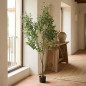 Artificial Olive Tree Plant 210 cm with Flowerpot | Plastic Plants for Indoor and Outdoor Garden Decoration