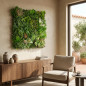 Vertical garden Madagascar 100 x 100 cm. They adapt to any space, creating environments of great originality and freshness