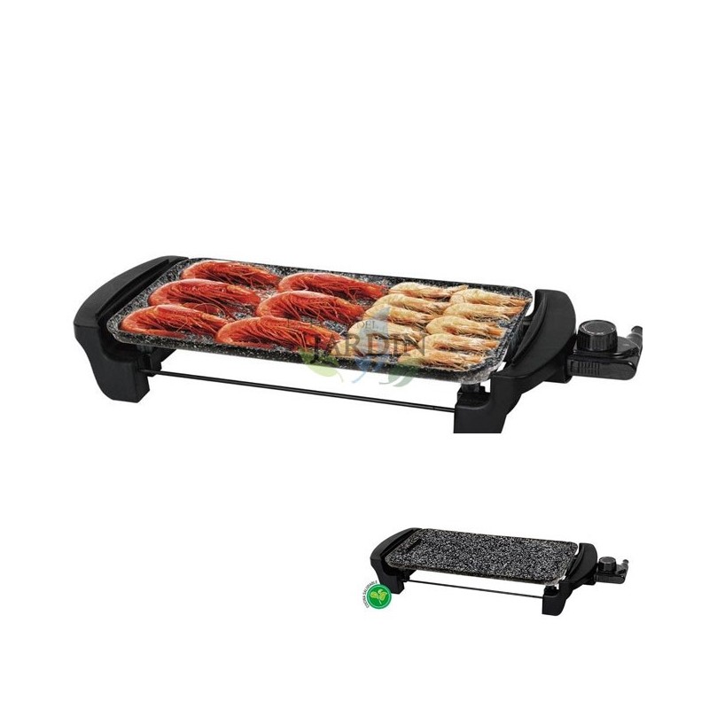 Plancha Electrique Grill 1600W, revêtement antiadhésif, thermostat réglable, 40x20 cm