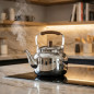 Bollitore Lacor in acciaio inox con manico pieghevole - 2 litri.