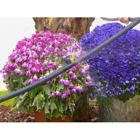 50 tee + 50 gomito + 50 collegamento + 10 spina