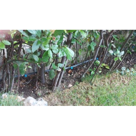 Pacote com 100 gotejadores autocompensadores, 8 litros | Gotejadores removíveis para irrigação, plantas, vasos, microtubos e tub