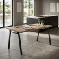 Table de cuisine, table de salle à manger marron rectangulaire pour la maison 160 x 90 x 76 cm, Ojen