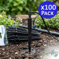Set di 100 Palo per irrigazione a goccia da 2,6 l/ora