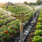  Adjustable 1/2" zinc brass irrigation sprinkler. Range 7-12.5 m. Flow rate 9 to 20 liters/minute