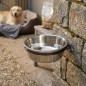 Comedero Bebedero para Perros 2,8 L | Acero Inoxidable | Soporte de Pared | 25 x 26 x 8,2 cm