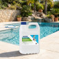 Alghicida concentrato 25 L | Trattamento efficace per piscine | Controllo delle alghe e acqua cristallina