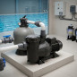 Bomba para piscina Victoria Plus 34.000 l/h | 2,20 kW | 3 HP | Trifásica | Solução profissional para piscinas grandes Bomba para piscina Victoria Plus 34.000 l/h | 2,20 kW | 3 HP | Trifásica | Solução profissional para piscinas grandes