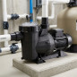 Pompa per piscina Victoria Plus 21.500 l/h | 1,10 kW | 1,5 CV | Monofase | Pompa per piscine residenziali