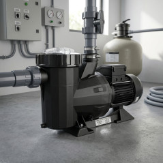  Victoria Plus pump, 16,000 l/h - 0.78 kW - 1 HP - single-phase