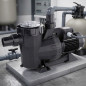 Bomba para piscina Victoria Plus 34.000 l/h | 2,20 kW | 3 HP | Trifásica | Solução profissional para piscinas grandes Bomba para piscina Victoria Plus 34.000 l/h | 2,20 kW | 3 HP | Trifásica | Solução profissional para piscinas grandes