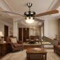 Orbegozo ceiling fan with light, 132 cm | 4 reversible blades | 3 speeds, 60W | Antique gold style