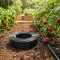Tubo de irrigação por gotejamento de 16 mm | 50 metros sem gotejador integrado | Tubo de gotejamento agrícola preto de 16 mm Tubo de irrigação por gotejamento de 16 mm | 50 metros sem gotejador integrado | Tubo de gotejamento agrícola preto de 16 mm