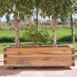 Jardinière en bois pour jardin et terrasse 60x110 cm, hauteur 39 cm