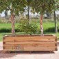 Wooden pot 60x110 cm, height 39 cm